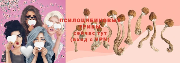 ПСИЛОЦИБИНОВЫЕ ГРИБЫ Новозыбков