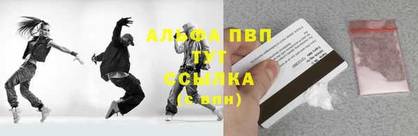 ПСИЛОЦИБИНОВЫЕ ГРИБЫ Новозыбков
