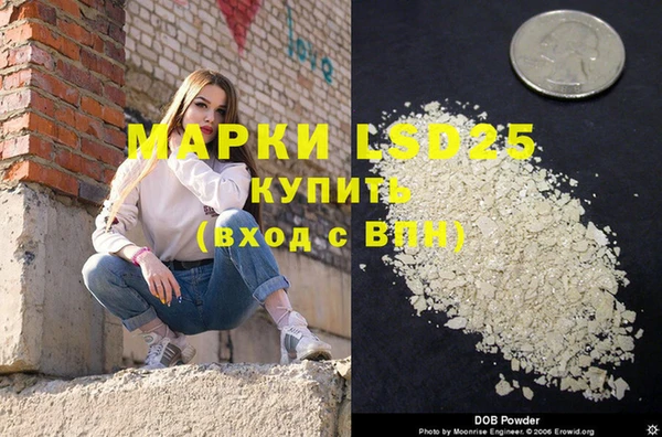 ПСИЛОЦИБИНОВЫЕ ГРИБЫ Новозыбков
