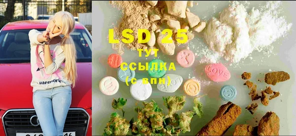 ПСИЛОЦИБИНОВЫЕ ГРИБЫ Новозыбков