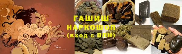 ПСИЛОЦИБИНОВЫЕ ГРИБЫ Новозыбков