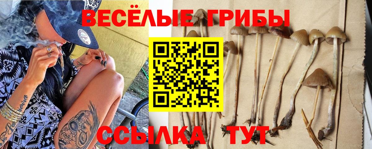 Псилоцибиновые грибы мицелий Лабинск